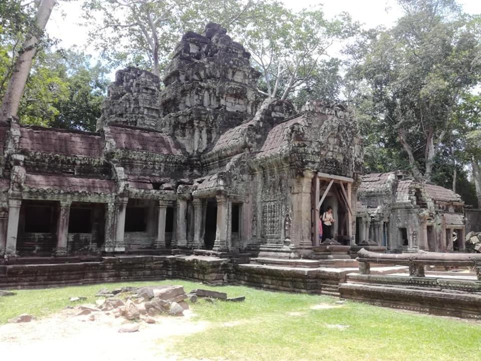 Hotel Angkor Magic Tree Boutique Ciudad de Siem Riep Exterior foto